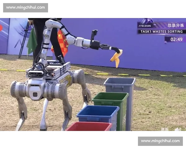 人狗同场竞技挑战极限速度与默契的跨物种比赛盛会引发全民关注与讨论