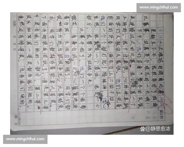 一次难忘的比赛经历带来的成长与坚持的力量描写作文四百字